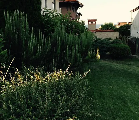 Affittacamere California Sinemoretz