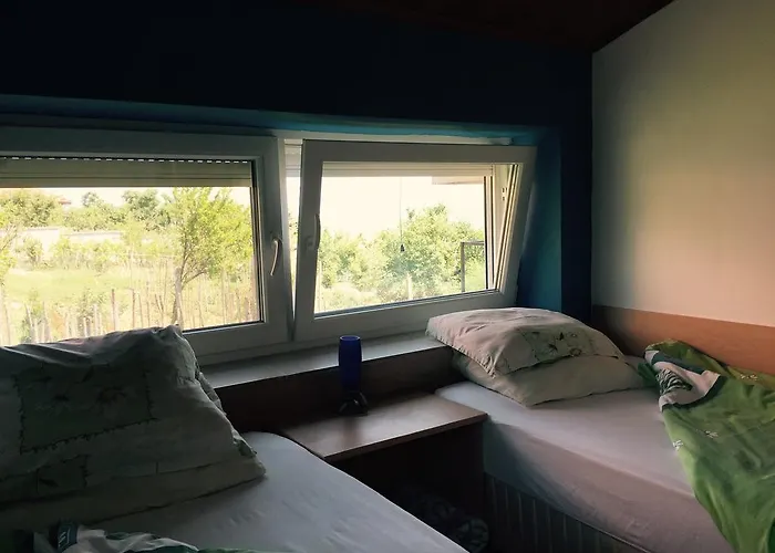 California Sinemoretz