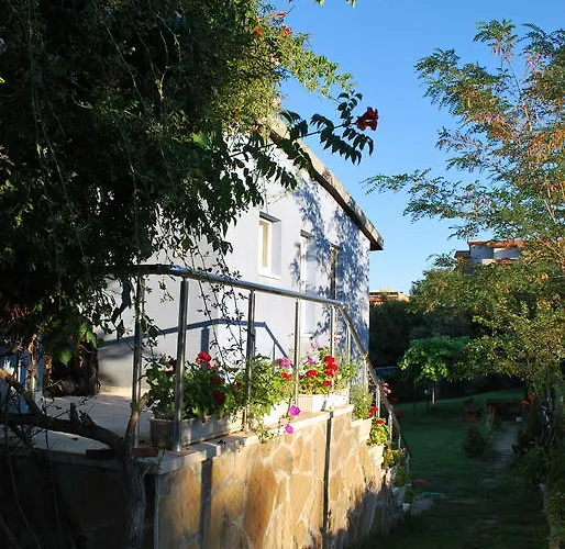 California Sinemoretz