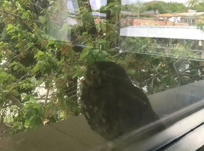 California Affittacamere